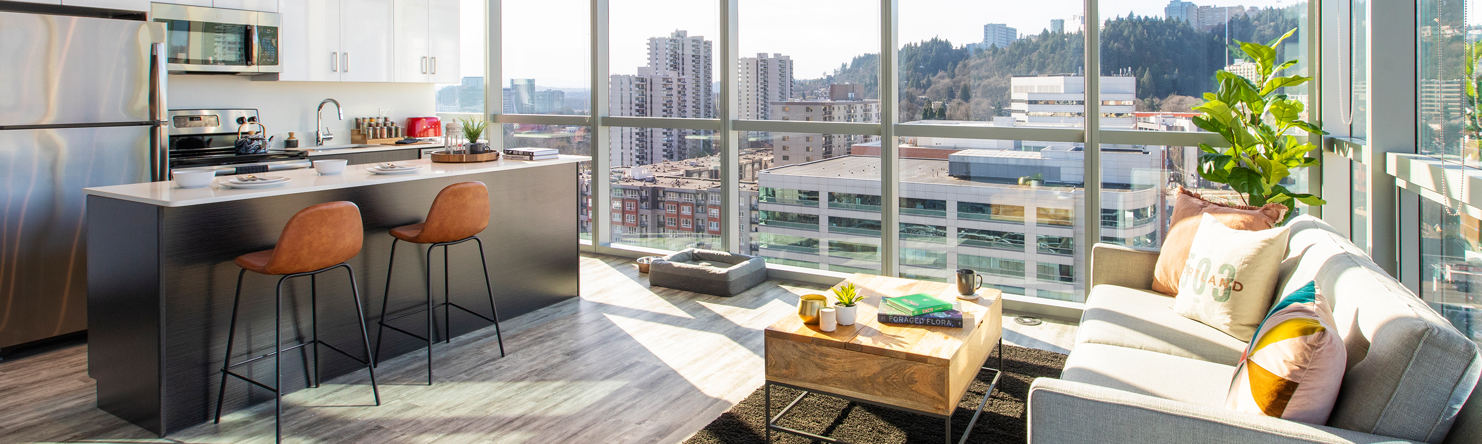 An apartment living room and kitchen